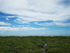 -北海金海湾红树林生态旅游区