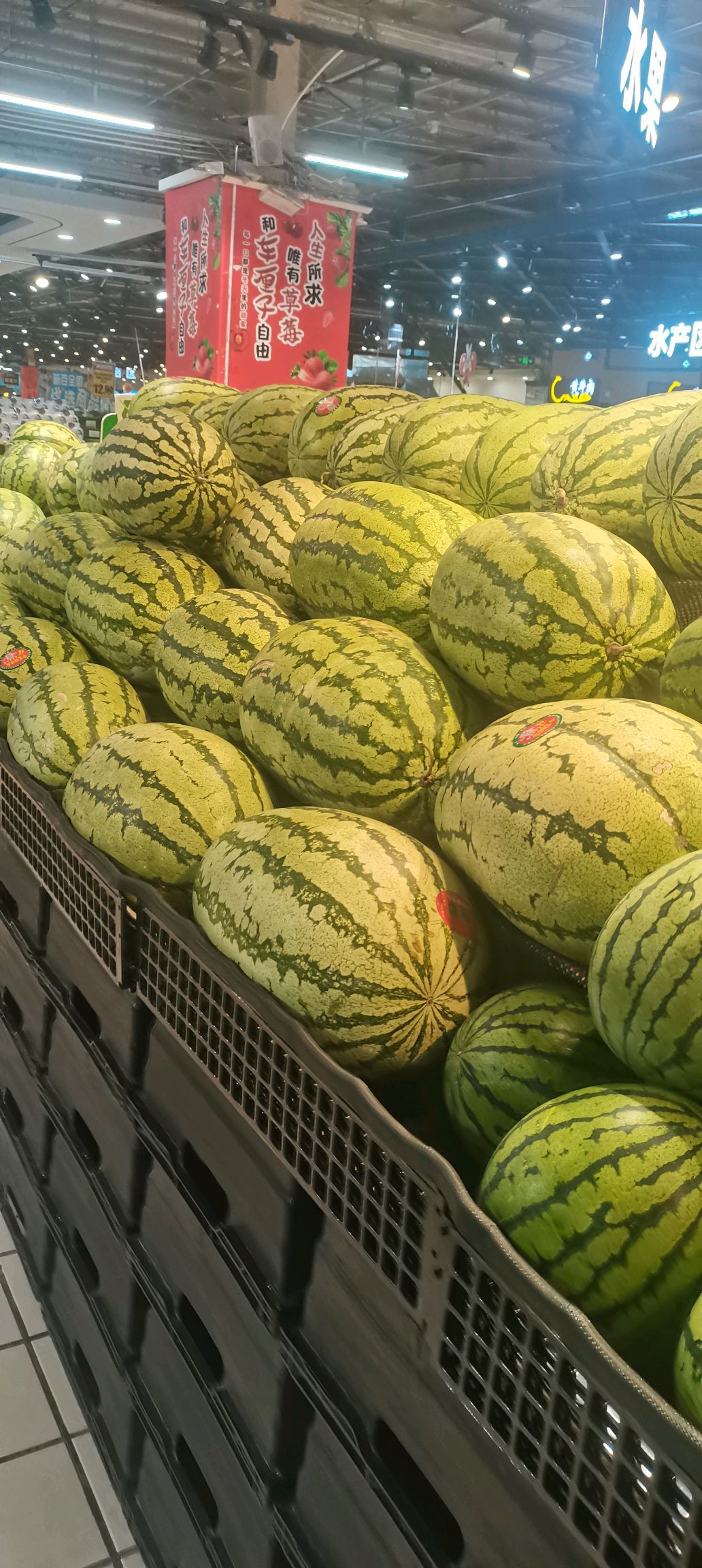 宁夏中卫硒砂瓜