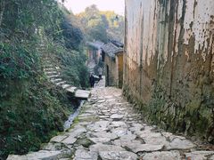 -杨家堂村