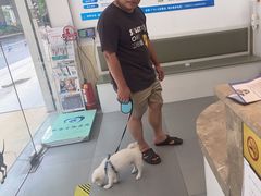 -宠欣安宠物医院·包河区中心医院