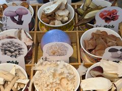 -菌自由丨野生菌火锅特色庭院餐厅(丽江古城店)