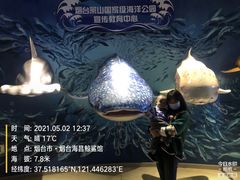 -烟台海昌鲸鲨海洋公园