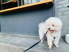 -mbd(华山路店)