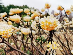 -白塘生态植物园