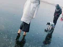 -丁香湖公园