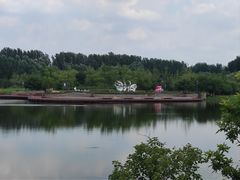 -东郊湿地公园