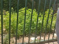 -山东师范大学(千佛山校区)