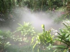 -呀诺达热带雨林