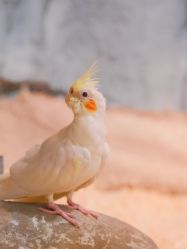 -Zoolung Zoolung动物主题公园(海信广场店)