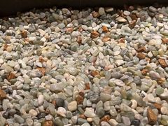 -北方暖暖温泉洗浴(沈阳北站店)