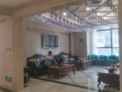 -碧莲盛·不剃发植发