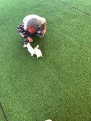 -萌宠亲子动物乐园(槐房万达店)