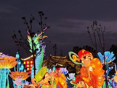 -花博汇(知音花月夜)