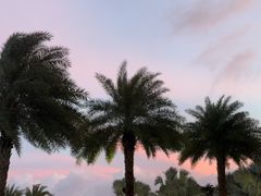 -深圳大梅沙京基洲际度假酒店