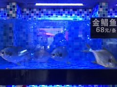 -莲花公园煎蟹(总店)