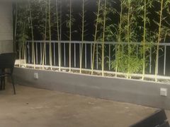 -八仔大富楼·河鲜(西江店)