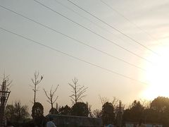 -商丘市人民公园