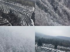 -庐山风景名胜区