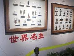 -上海昆虫博物馆