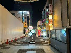 -宝健路步行街(Pedestrian Shopping Street)