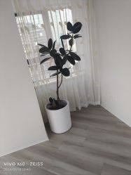-HEYAN荷妍专业脱毛连锁机构