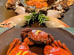 -老吉堂上海本帮菜(望京万象汇店)