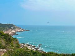 -广东惠东海龟国家级自然保护区