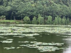 -南宁花花大世界景区