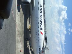 纽约肯尼迪国际机场-约翰·菲茨杰拉德·肯尼迪国际机场