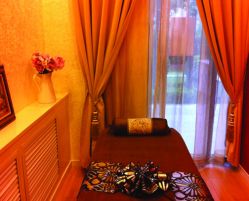 包房-薇薇安花系SPA