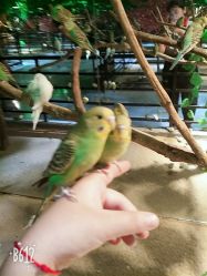 -酷嗒动物文化乐园(cutezoo西溪乐天城店)