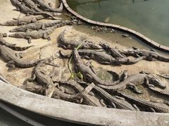 -观澜山水田园