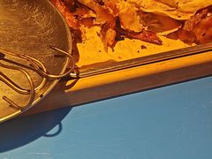 -破瓦寒窑·地摊烤羊排