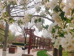 -燕郊植物园