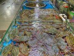 -王四营海鲜市场