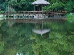 -上海滨江森林公园