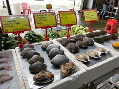 -蚝专家(北滘店)