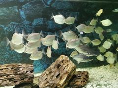 -秦皇岛新澳海底世界