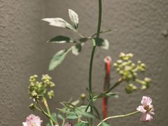 -红小满休闲餐厅(十全街店)