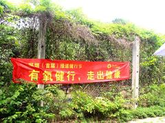 -金鸡山公园