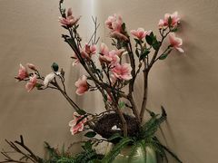 -东方之珠洗浴休闲广场(南开店)