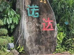 -呀诺达热带雨林