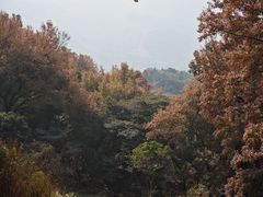 -广州市石门国家森林公园