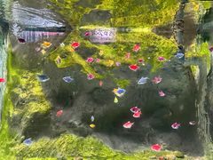 -苏州海洋馆