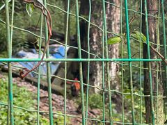 -藏龙百瀑风景区