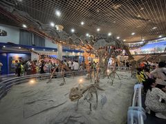 -国家自然博物馆