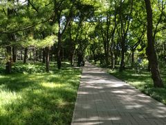 -玲珑塔公园
