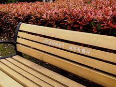 -苏州河梦清园环保主题公园