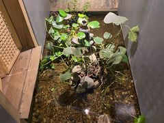 -邈墨茶馆(凤起路店)