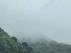 -北仑森林植物园